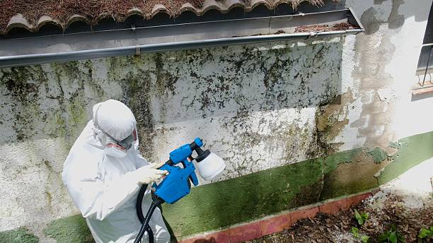 Top rated local Commercial Mold Remediation specialists in Erie, CO